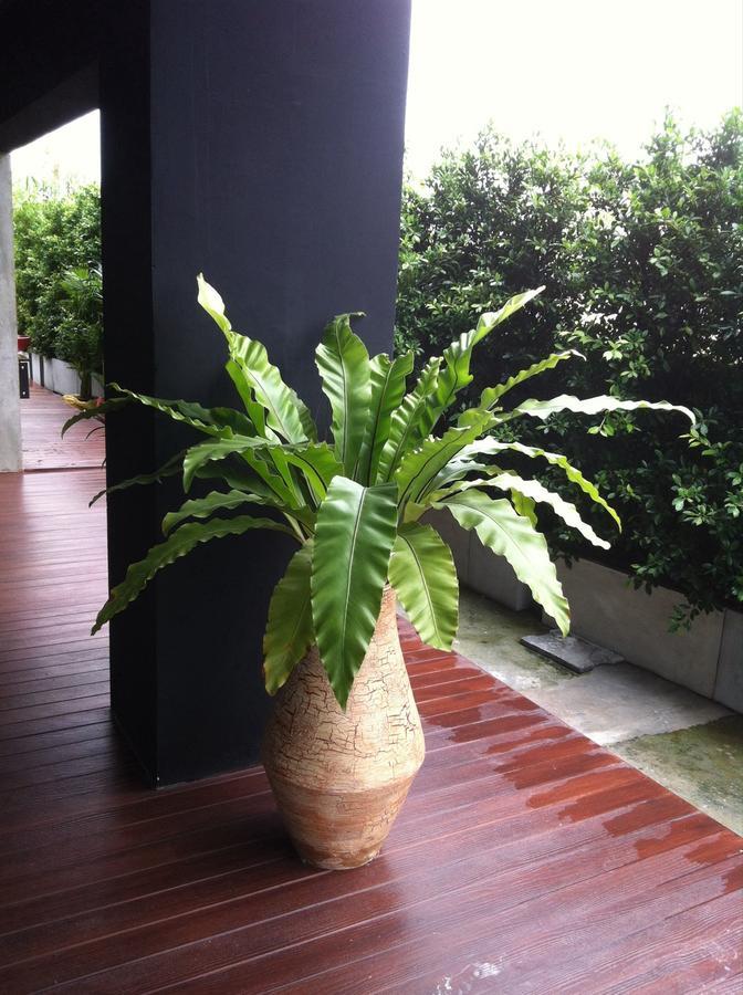 The Logbook Room And Cafe' Chonburi Eksteriør bilde